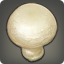 Creamtop Mushroom