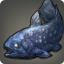 Coelacanth