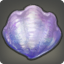 Auroral Clam