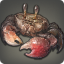 Khaal Crab