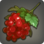 Lingonberry