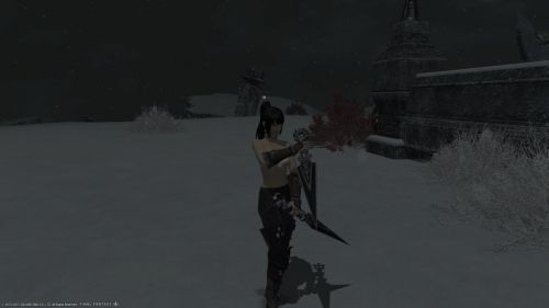 Capture d'écran