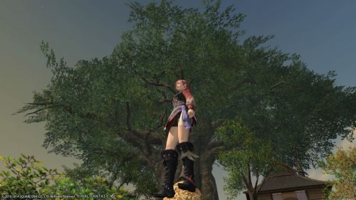 Capture d'écran