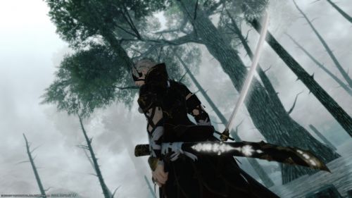 Capture d'écran
